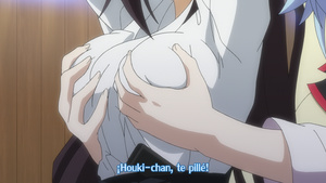 IS: Infinite Stratos 2